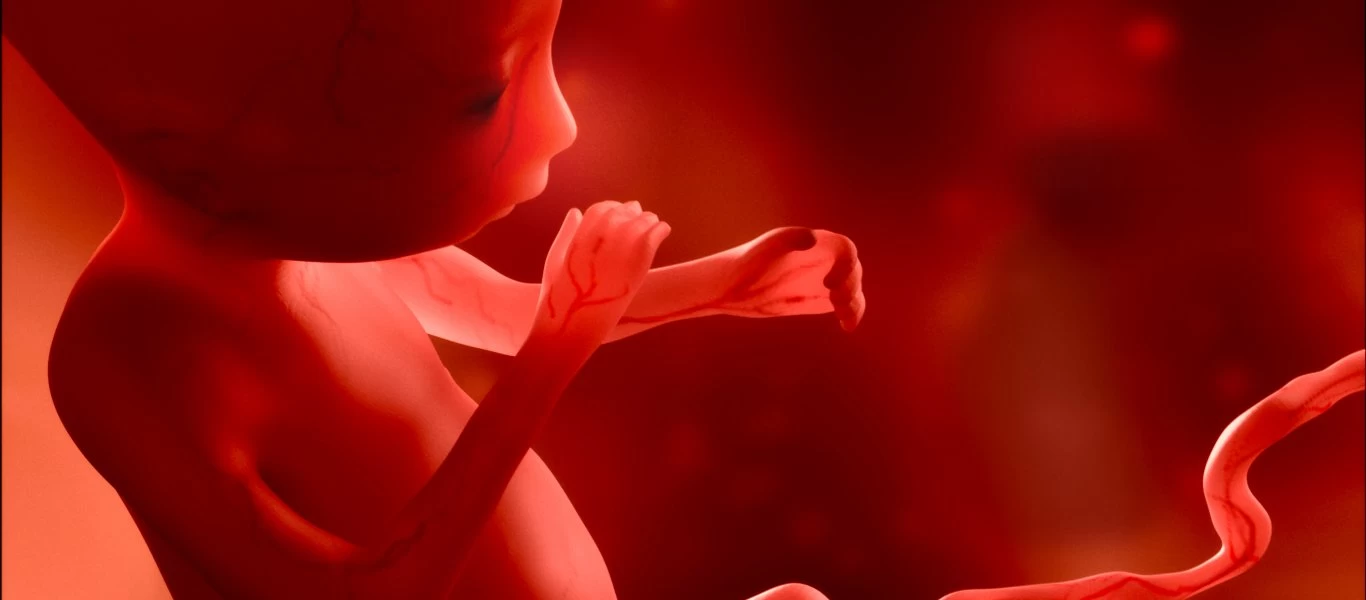 ΣΥΡΙΖΑ για Στέλιο Κυμπουρόπουλο και προστασία της ζωής του εμβρύου: «Η Ελλάδα μοιάζει με χώρα του Βίσεγκραντ»